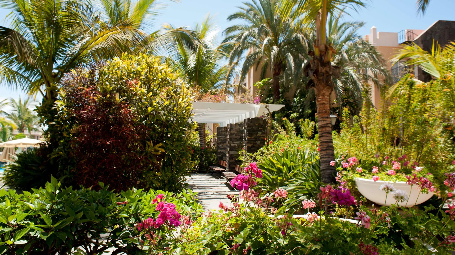 Hotel Palm Oasis Maspalomas